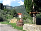 Vigneto Panicale